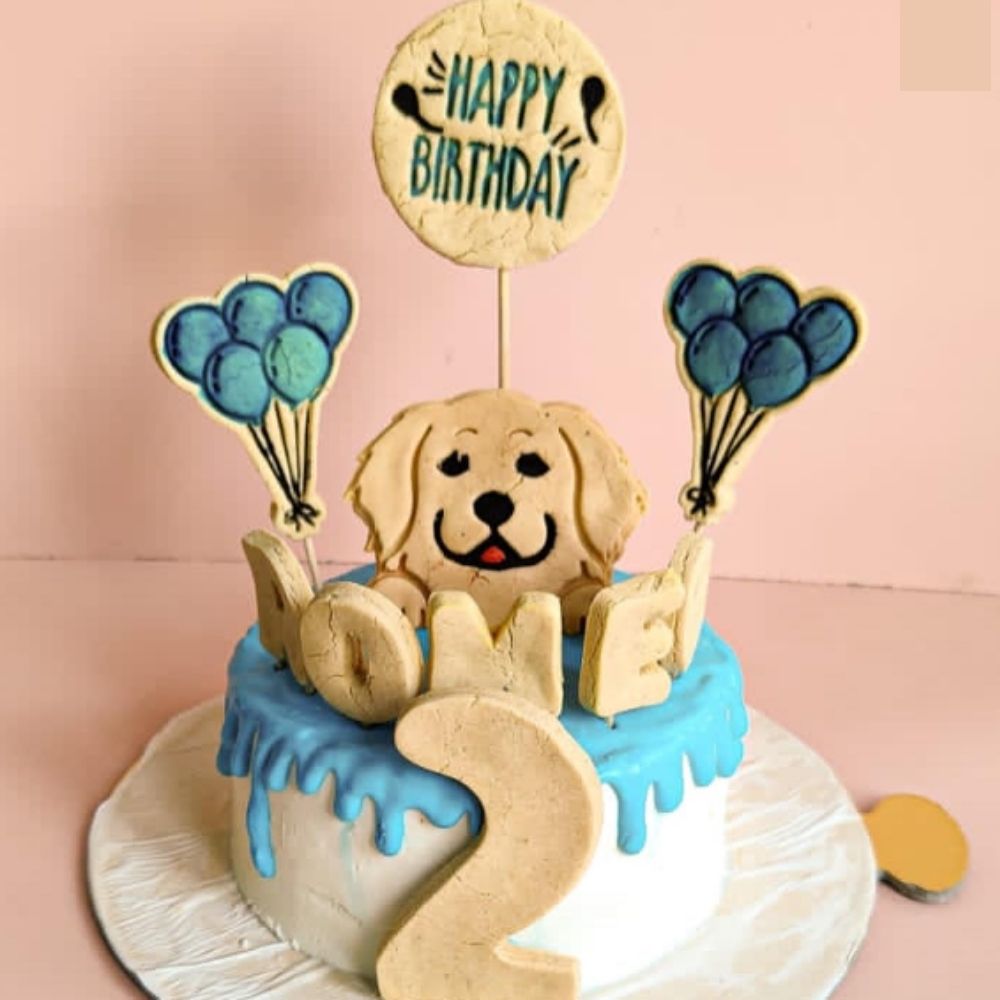 Doggie birthday cake with white and blue icing and decorations for Romeo 2 / Where to Go in Delhi With Your Dog - The Ultimate Guide
