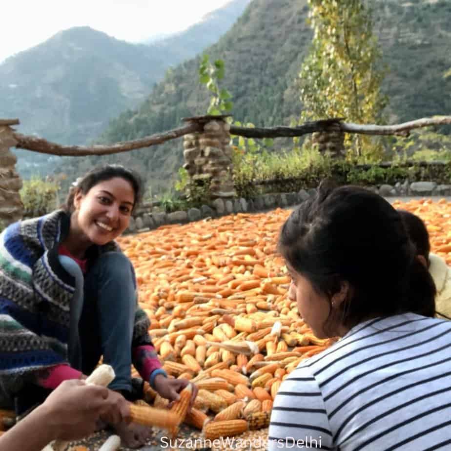 Dry corn cobs covering the outdoor terrace and smiling girl holding them