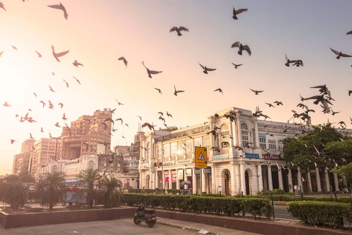 Connaught Place at dawn with birds in flight