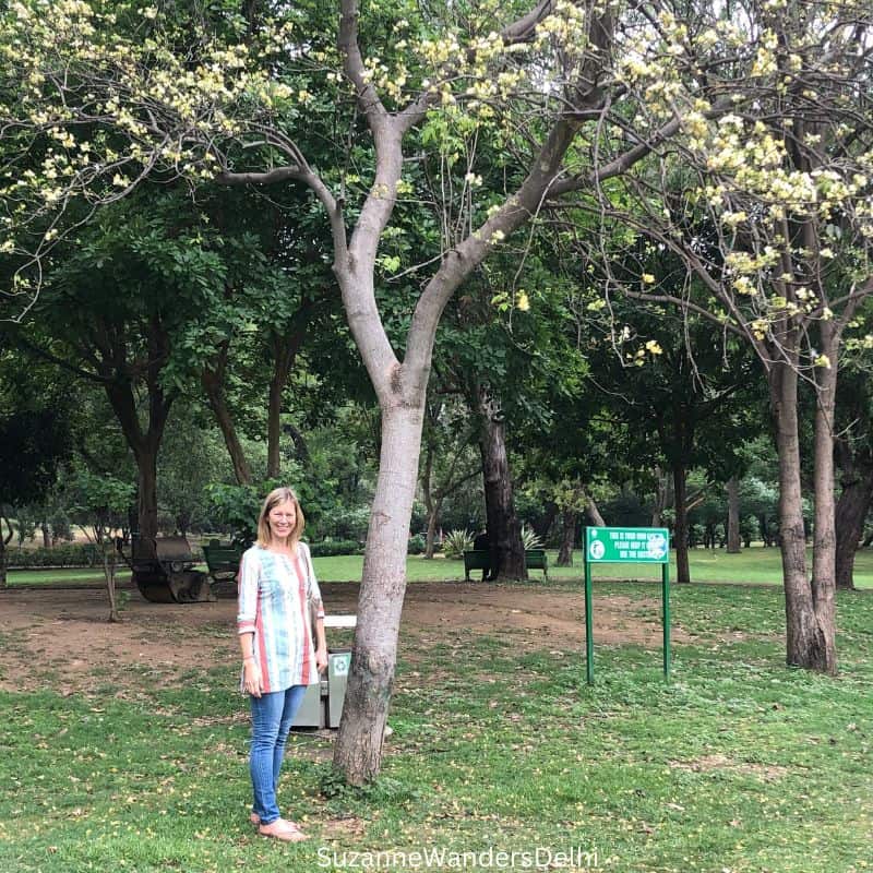the author in Lodhi Garden, standing under a tree on a nature walk/sightseeing tour of Delhi