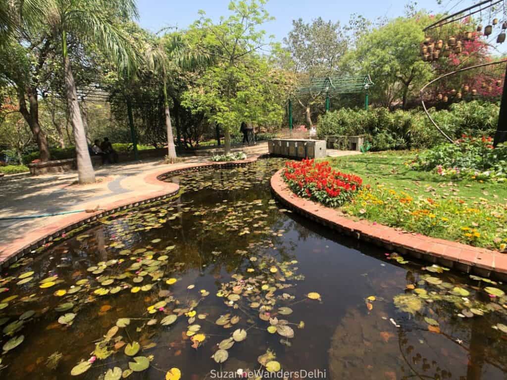 The lotus pond with blooming flowers by its side in Garden of Five Senses, one of the best picnic spots in Delhi