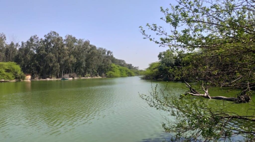 Long view of Sanjay Lake with trees on either side