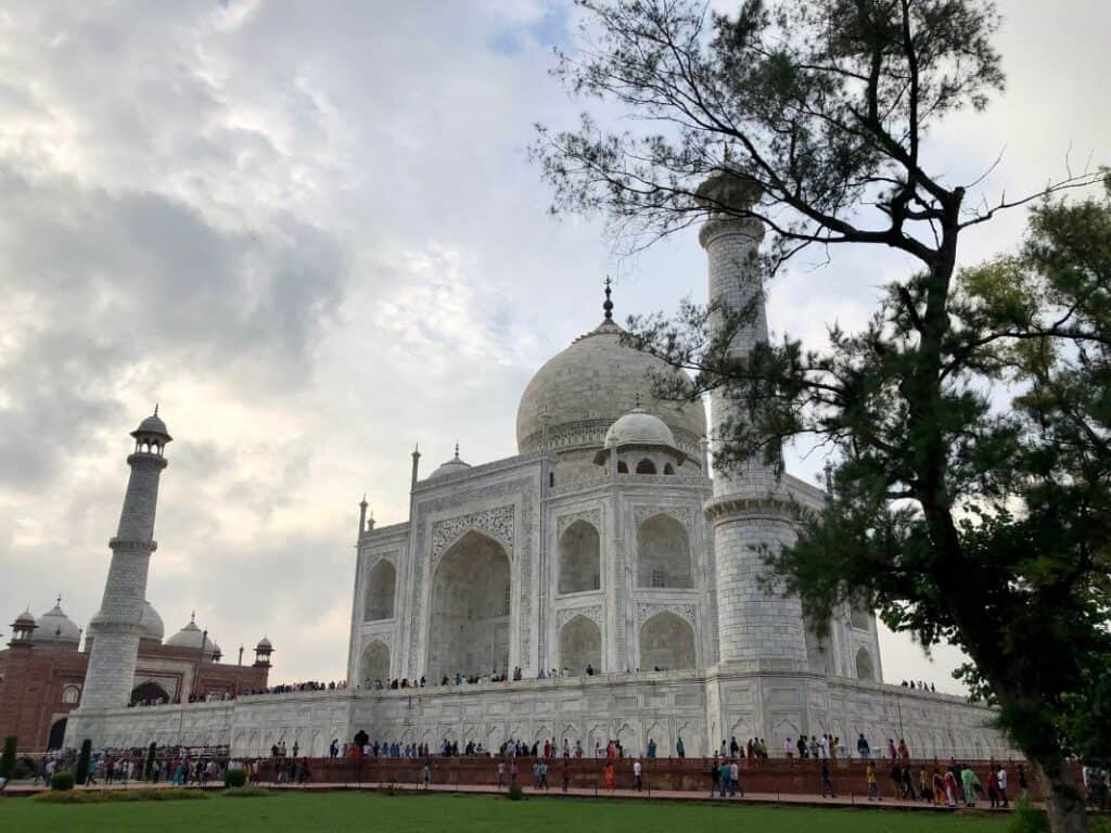 full view of Taj Mahal in India's Golden Triangle from an able with tree on right side and a cloudy sky