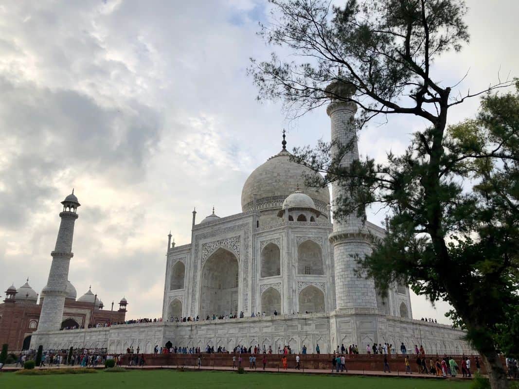 full view of Taj Mahal from an able with tree on right side and a cloudy sky