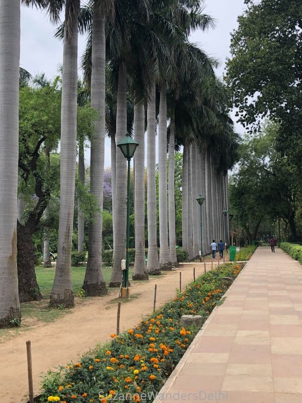 a paved pathway next to an unpaved path way lined with tall palm trees in Lodhi Garden