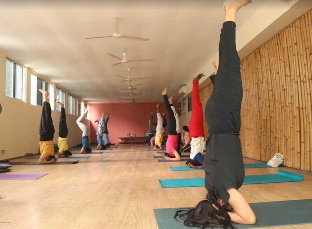 Group of yoga student doing headstands in studio with bamboo wall and ceiling fans in a Delhi yoga class