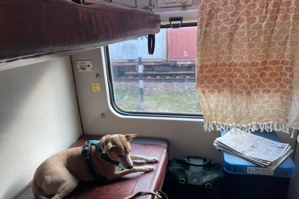 a 2 berth sleeper compartment with a dog resting on the lower bunk on a Rajdhani Express Train in India