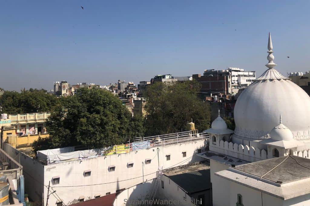 views from the rooftop of Hope Project on my walking tour in Nizamuddin Basti