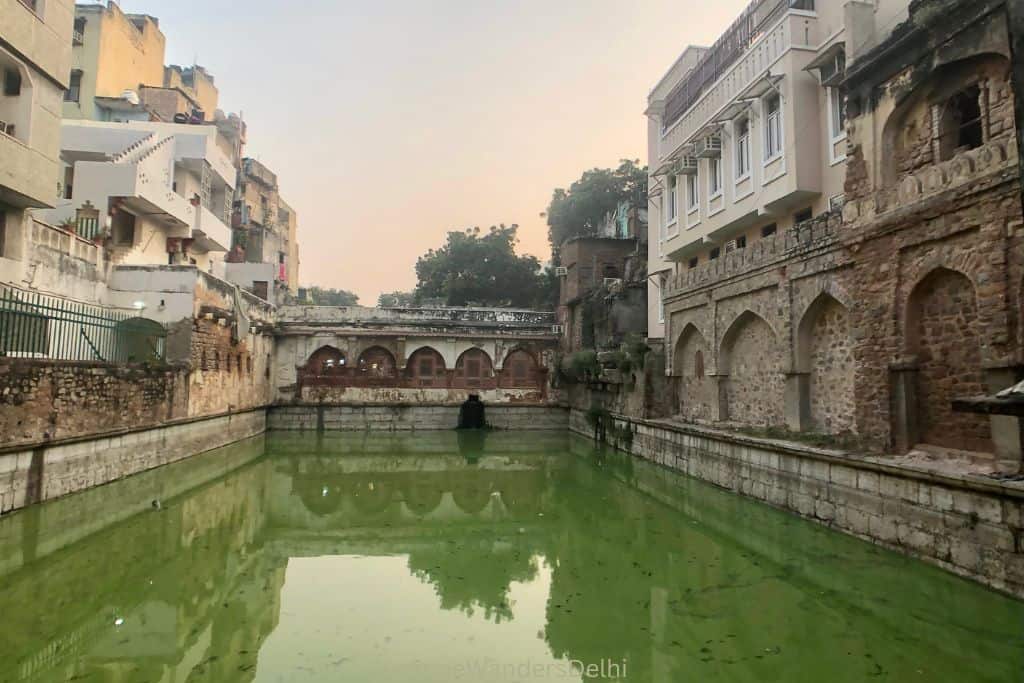 long view of the stepwell in Nizamuddin Basti, filled with green water